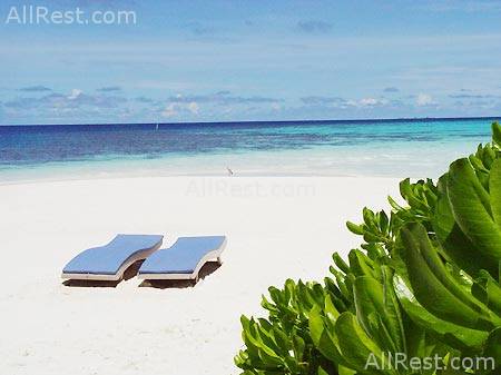 Mirihi Island Resort 14